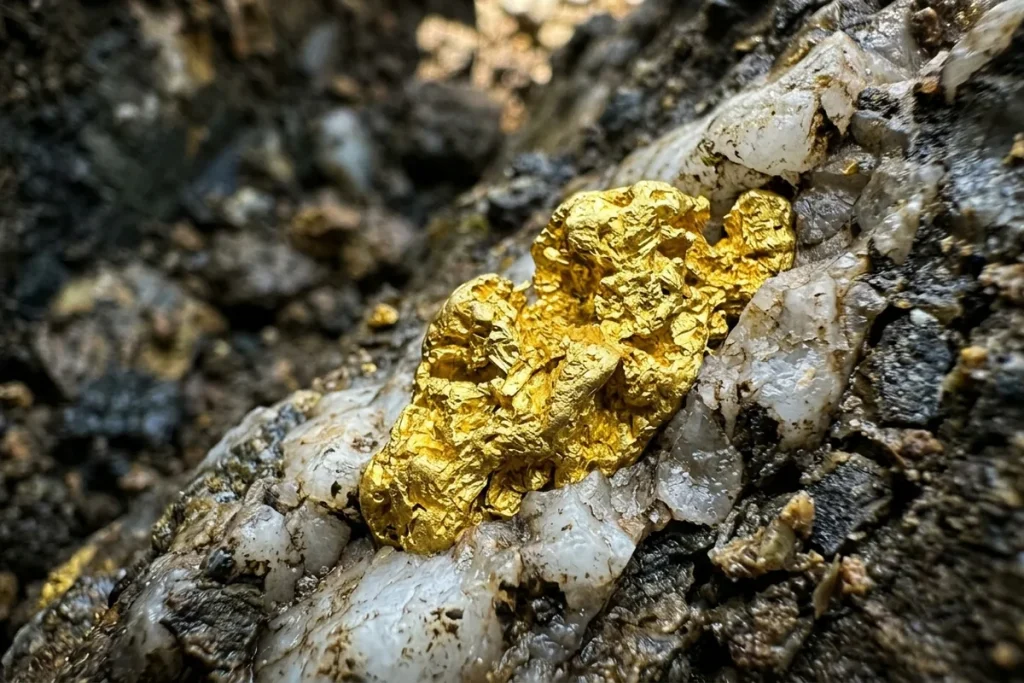 Das 72-Kilo-Rätsel: Warum die Erben des größten Goldklumpens der Welt heute leer ausgehen