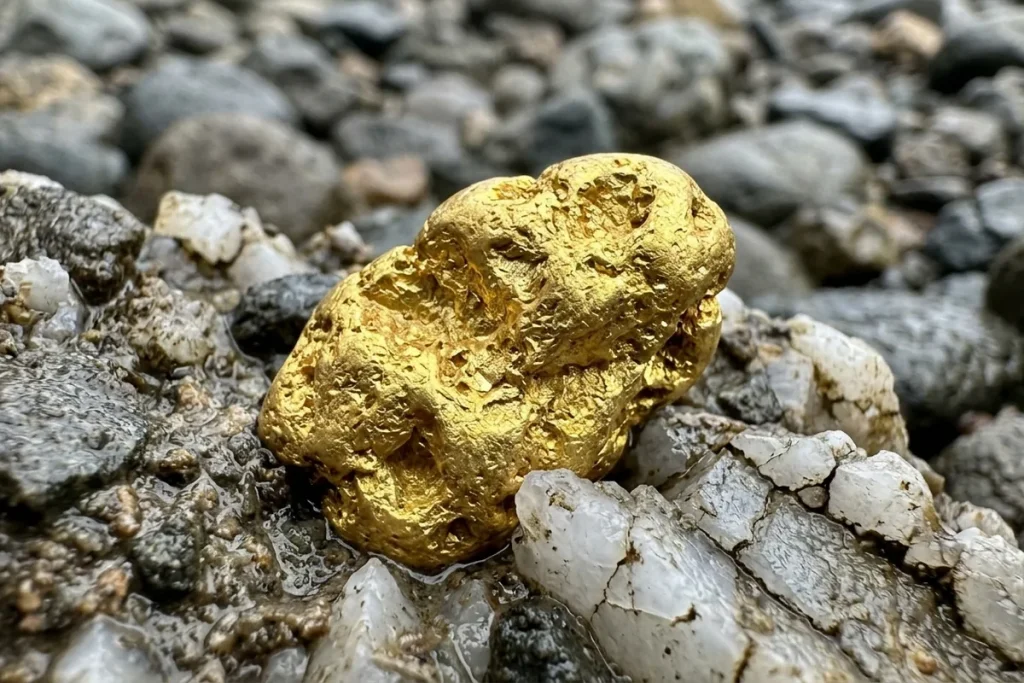 Goldschatz in Argentinien: Fluss voller Nuggets im Wert von Millionen entdeckt